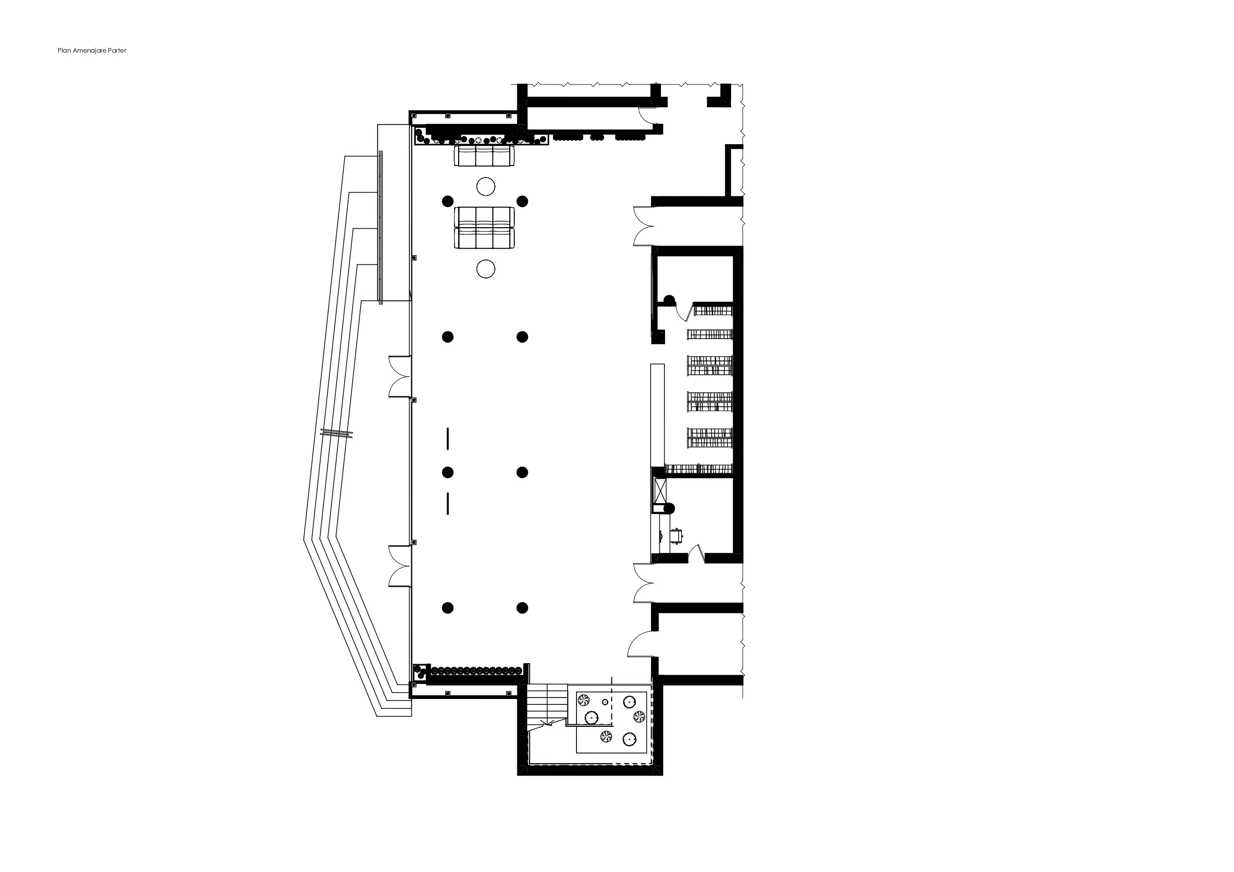 Multifunctional Center Costești